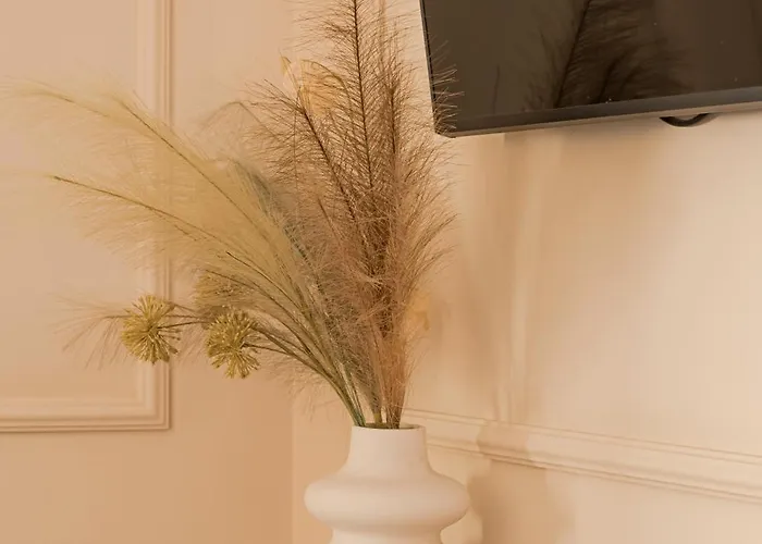 Located New Stylish In Old Town