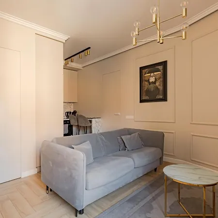 Located New Stylish In Old Town Apartment